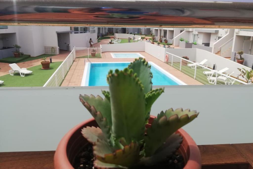 Blue Ocean Corralejo: Sunny Terrace, Pool, Wifi Apartment Екстериор снимка
